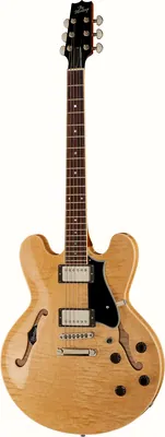 Heritage Guitar H-535 AN