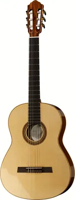 Höfner HF17