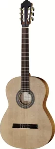 Höfner HM65-Z