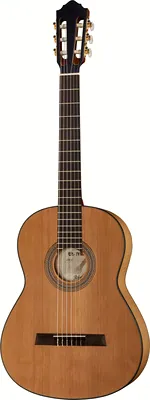 Höfner SE II
