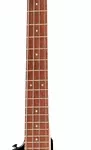 La basse électrique Höfner Shorty Bass BK | Test et Avis | E.G.L