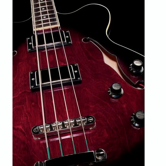 Höfner Verythin Bass HCT-500/8-DC – photo 11