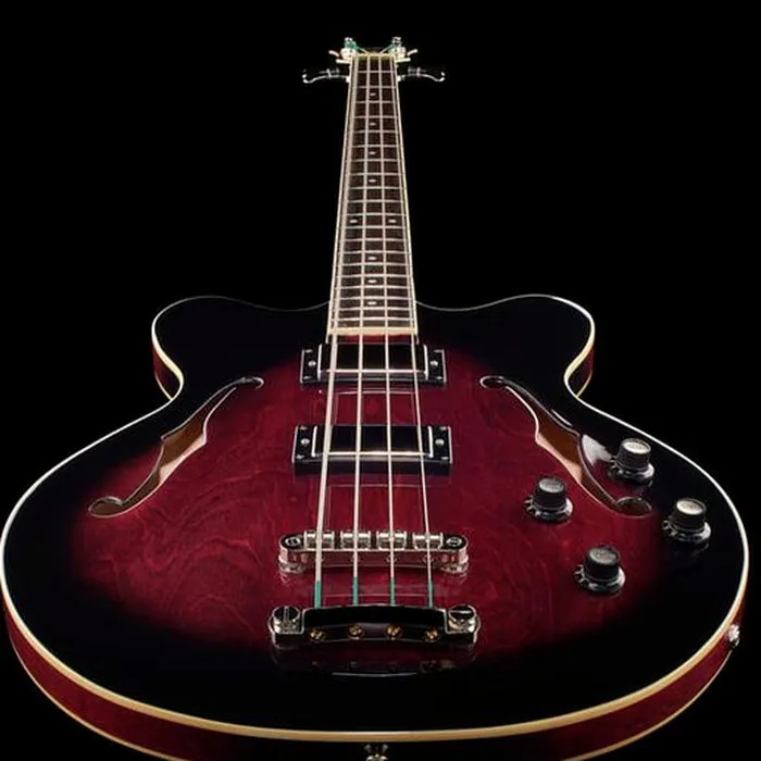 Höfner Verythin Bass HCT-500/8-DC – photo 10