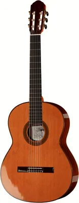 Hopf Nr. 5 Grandioso I