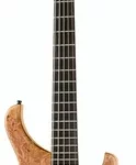 La basse électrique Human Base BaseX 5 Figured Maple | Test et Avis | E.G.L