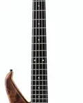 La basse électrique Human Base Max 5 Walnut B-Stock | Test et Avis | E.G.L