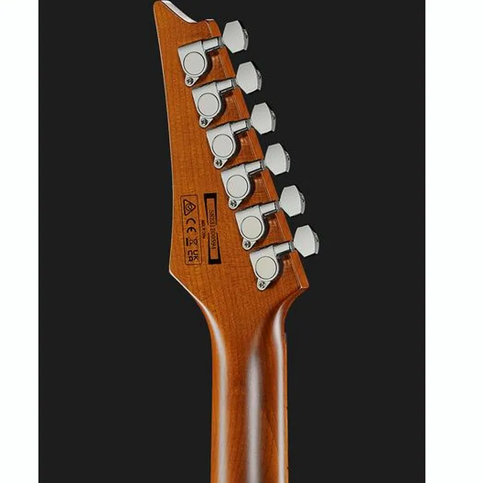 Ibanez 70th Anniv. GRG121SP-SV – photo 9