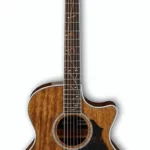 Guitare acoustique Ibanez AE245-NT | Test, Avis & Comparatif