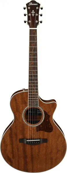 Ibanez AE245JR-OPN