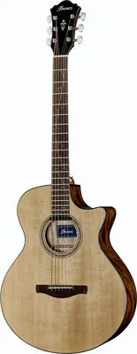 Ibanez AE275BT-LGS B-Stock