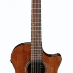 Guitare acoustique Ibanez AE2912-LGS | Test, Avis & Comparatif