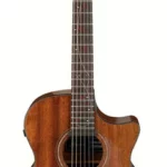 Guitare acoustique Ibanez AE295-LGS | Test, Avis & Comparatif