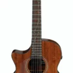 Guitare acoustique Ibanez AE295L-LGS | Test, Avis & Comparatif