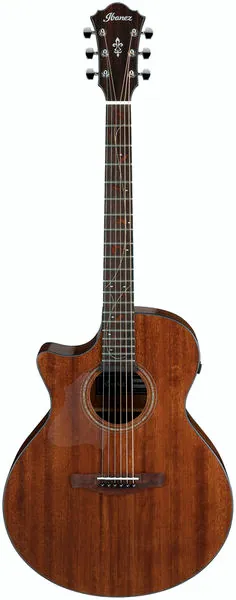 Ibanez AE295L-LGS