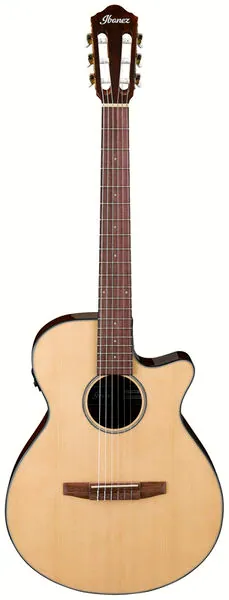 Ibanez AEG50N-NT Nylon