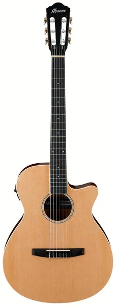 Ibanez AEG7TN-NT Nylon