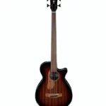 La basse électrique Ibanez AEGB24FE-MHS Fretless : Notre avis