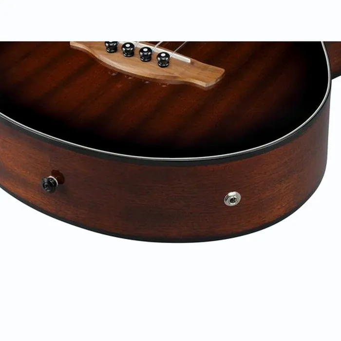 Ibanez AEGB24FE-MHS Fretless – photo 11