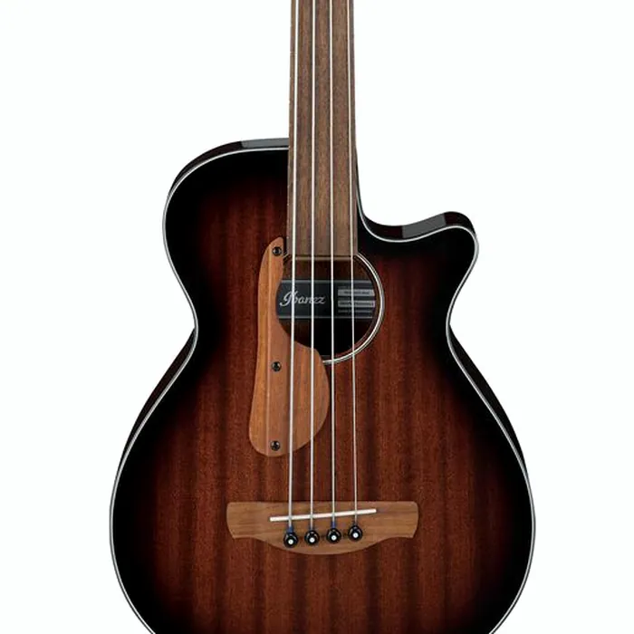 Ibanez AEGB24FE-MHS Fretless – photo 5