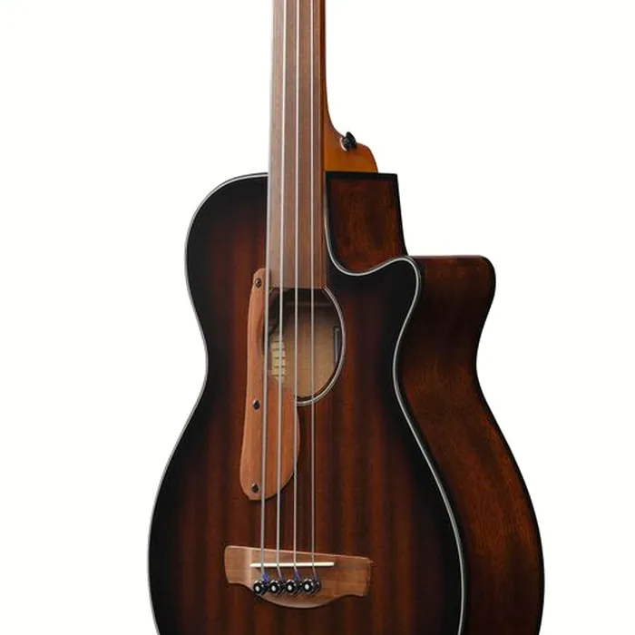 Ibanez AEGB24FE-MHS Fretless – photo 7