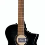 Guitare acoustique Ibanez AEWC400-TKS | Test, Avis & Comparatif
