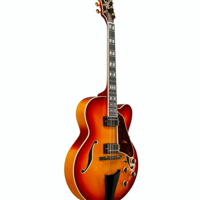 Ibanez AF115-AWB – photo 5