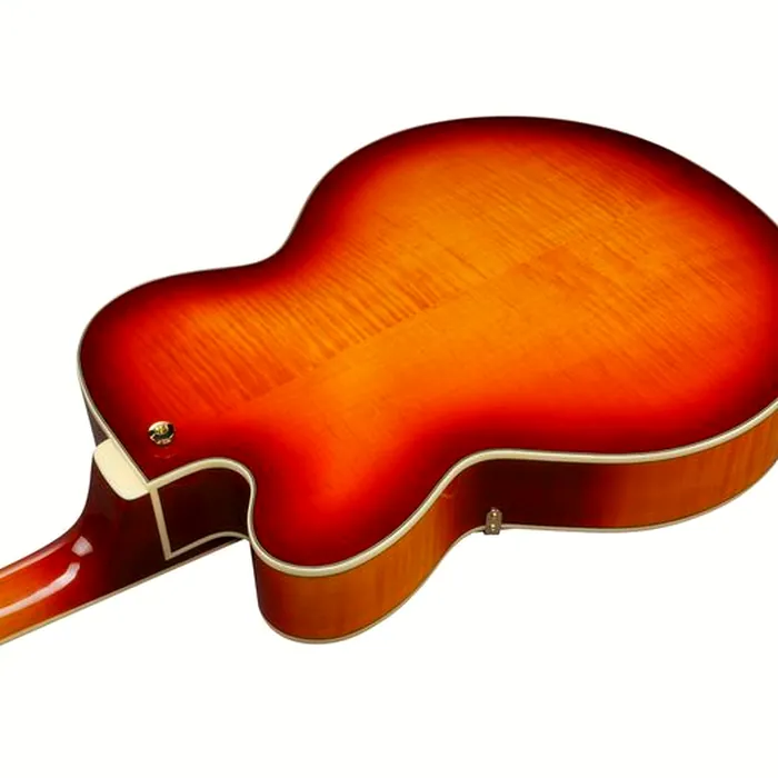 Ibanez AF115-AWB – photo 9