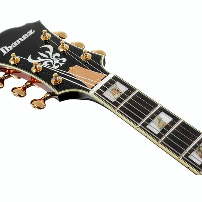 Ibanez AF2000-BS – photo 10