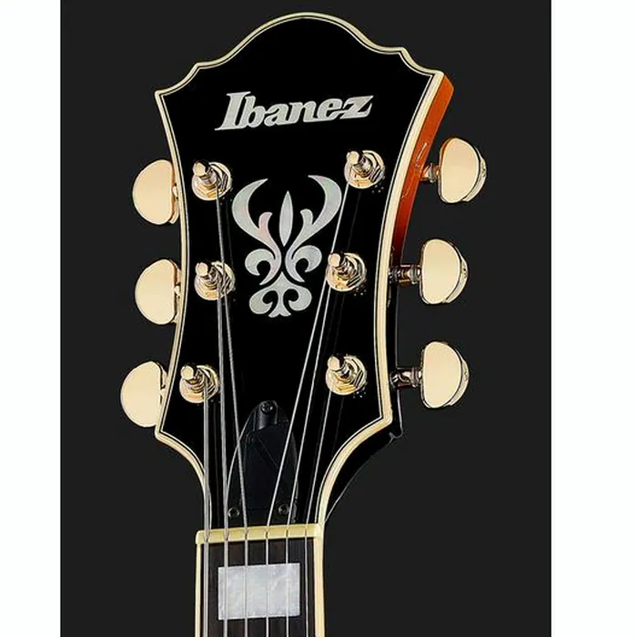 Ibanez AF95-BS – photo 8