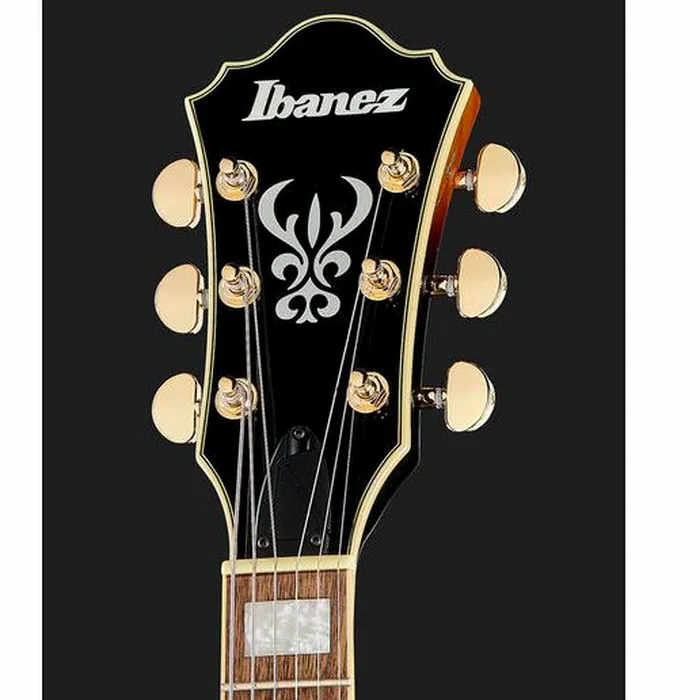 Ibanez AG75G-BS – photo 8