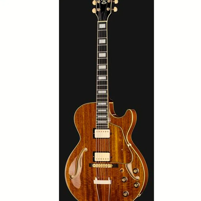 Ibanez AG95K-NT – photo 4