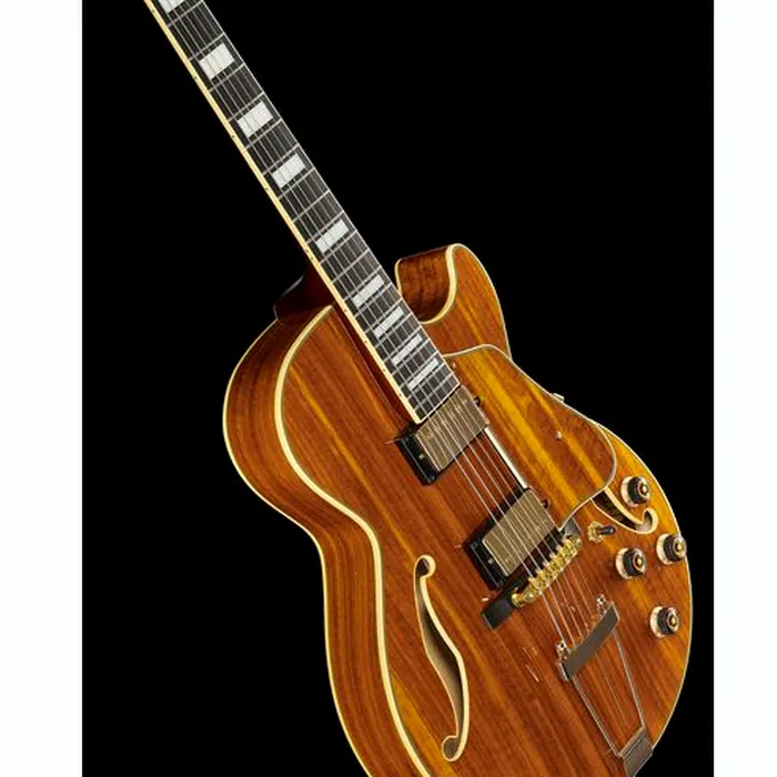 Ibanez AG95K-NT – photo 12