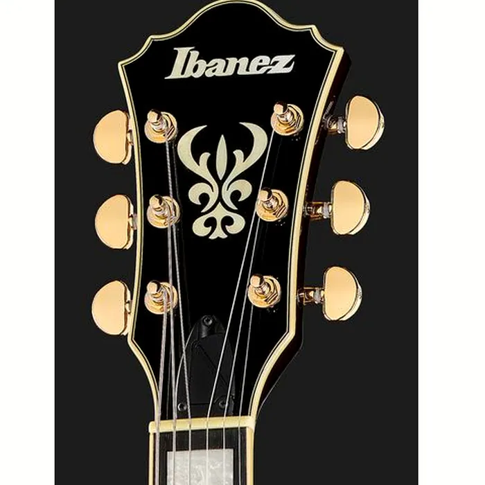 Ibanez AG95K-NT – photo 8