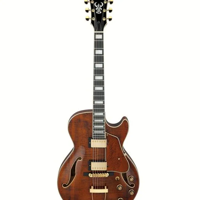 Ibanez AG95MG-DA – photo 2