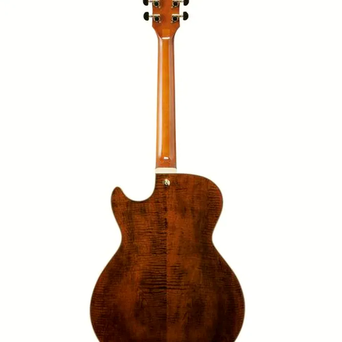 Ibanez AG95MG-DA – photo 4