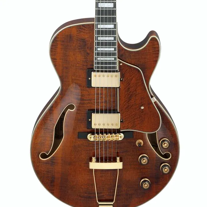 Ibanez AG95MG-DA – photo 6
