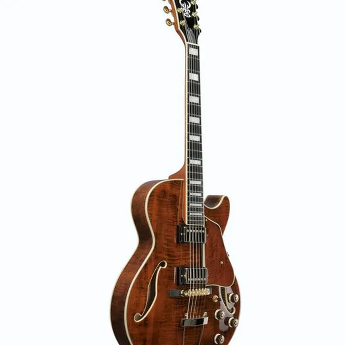 Ibanez AG95MG-DA – photo 5