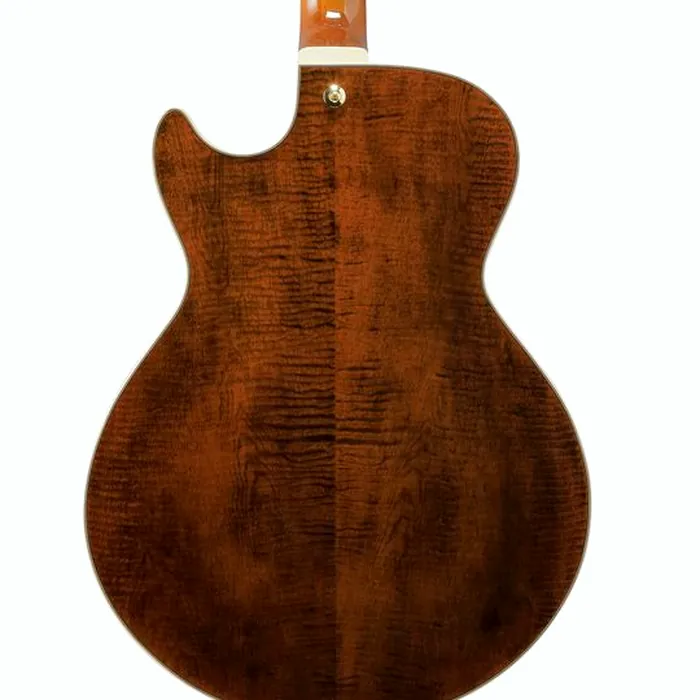 Ibanez AG95MG-DA – photo 7
