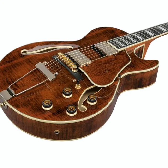 Ibanez AG95MG-DA – photo 11