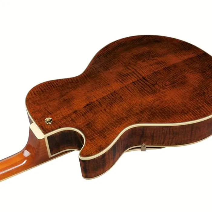 Ibanez AG95MG-DA – photo 10