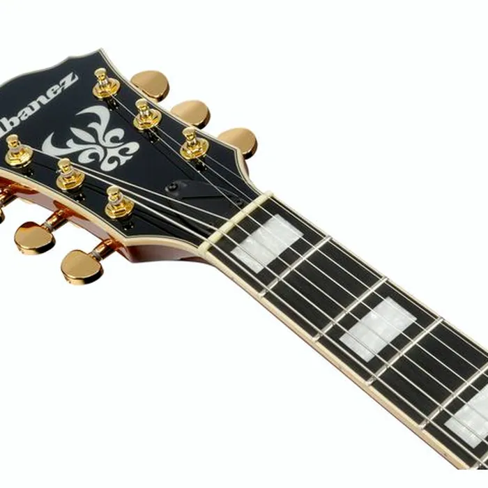 Ibanez AG95MG-DA – photo 8