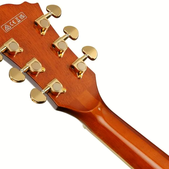Ibanez AG95MG-DA – photo 9