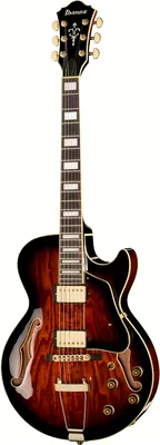 Ibanez AG95QA-DBS