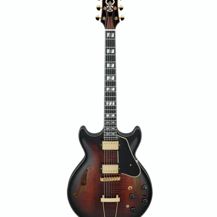 Ibanez AMH100FM-DVS – photo 2