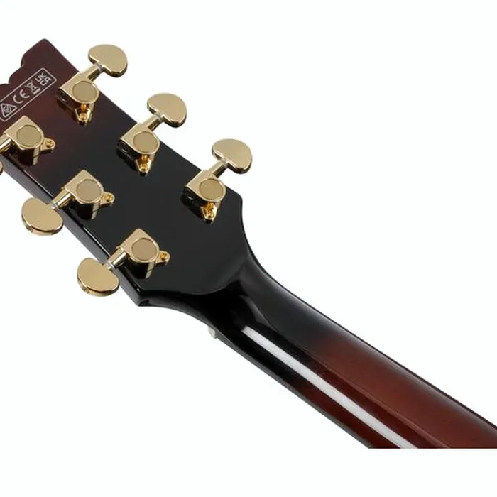 Ibanez AMH100FM-DVS – photo 8
