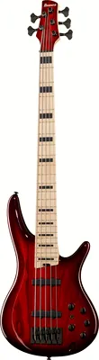 Ibanez ANB205-TWB B-Stock