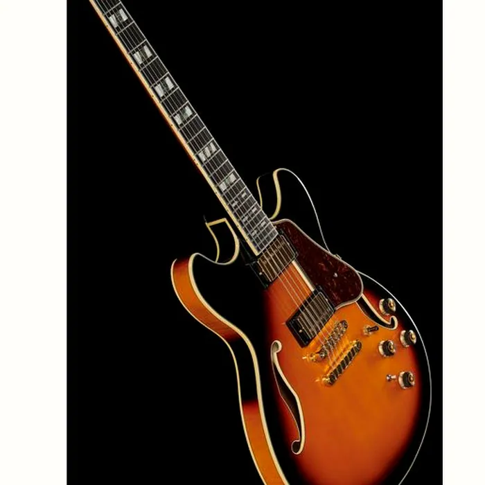 Ibanez AS113-BS – photo 12