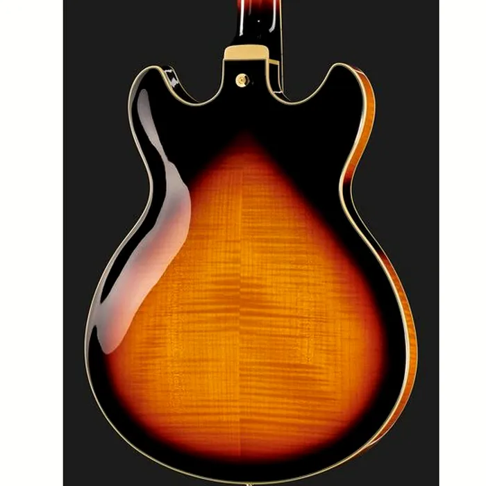 Ibanez AS113-BS – photo 7