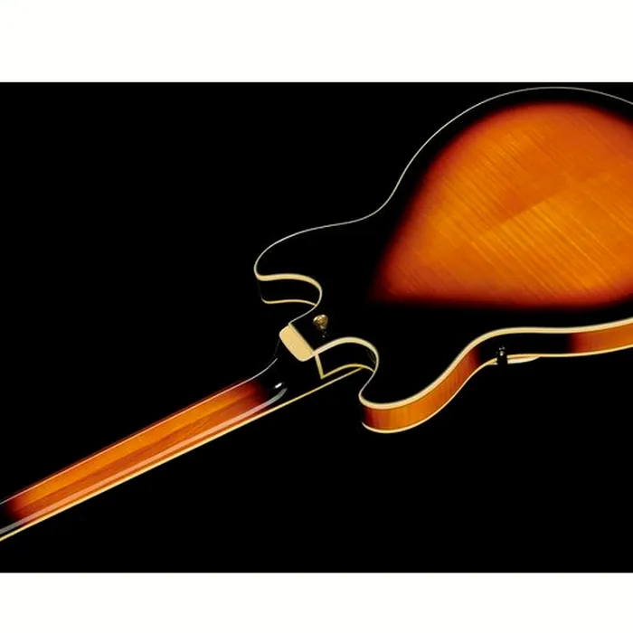 Ibanez AS113-BS – photo 10