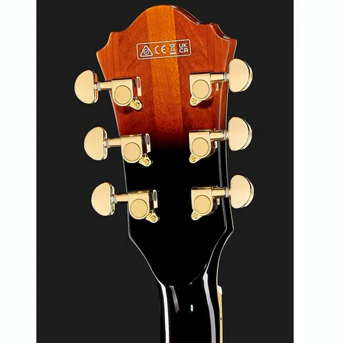 Ibanez AS113-BS – photo 9